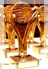 Top Trophy of Business 2009 South Region
